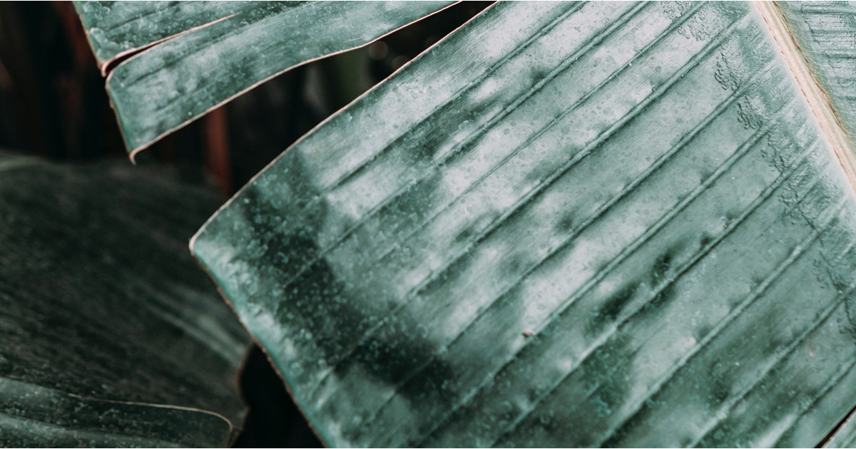 Germany: Landmark decision - Good news for foreign investment funds ...